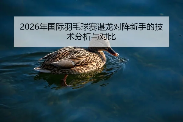 2026年国际羽毛球赛谌龙对阵新手的技术分析与对比