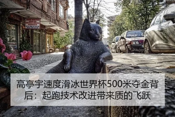 高亭宇速度滑冰世界杯500米夺金背后：起跑技术改进带来质的飞跃