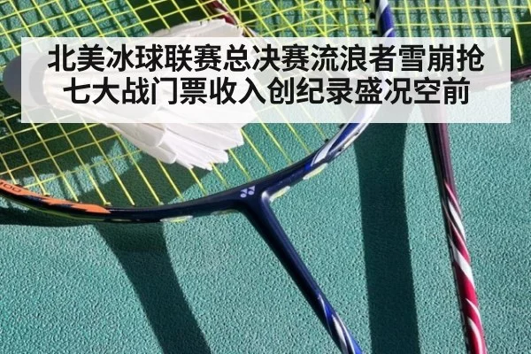 北美冰球联赛总决赛流浪者雪崩抢七大战门票收入创纪录盛况空前