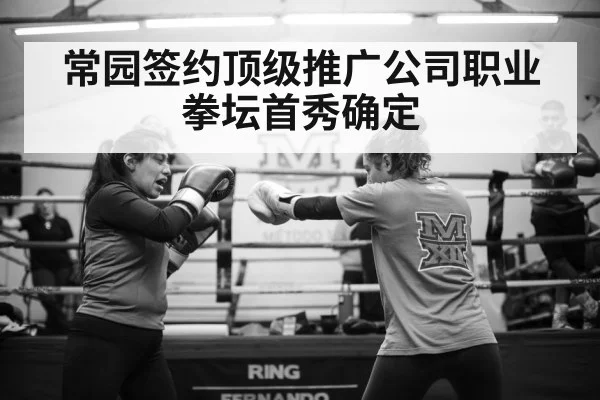 female boxer training
